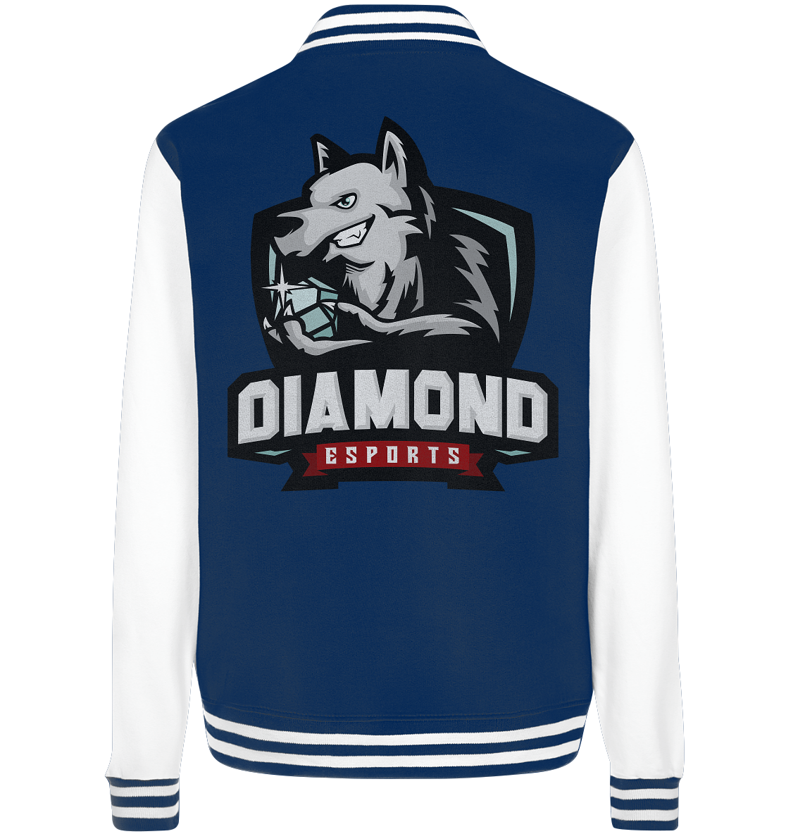 DIAMOND ESPORTS - Basic College Jacke