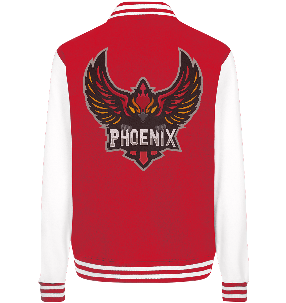 TEAM PHOENIX - Basic College Jacke