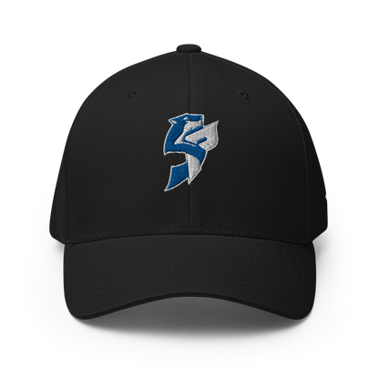 SNOWPARDS - FlexFit Cap