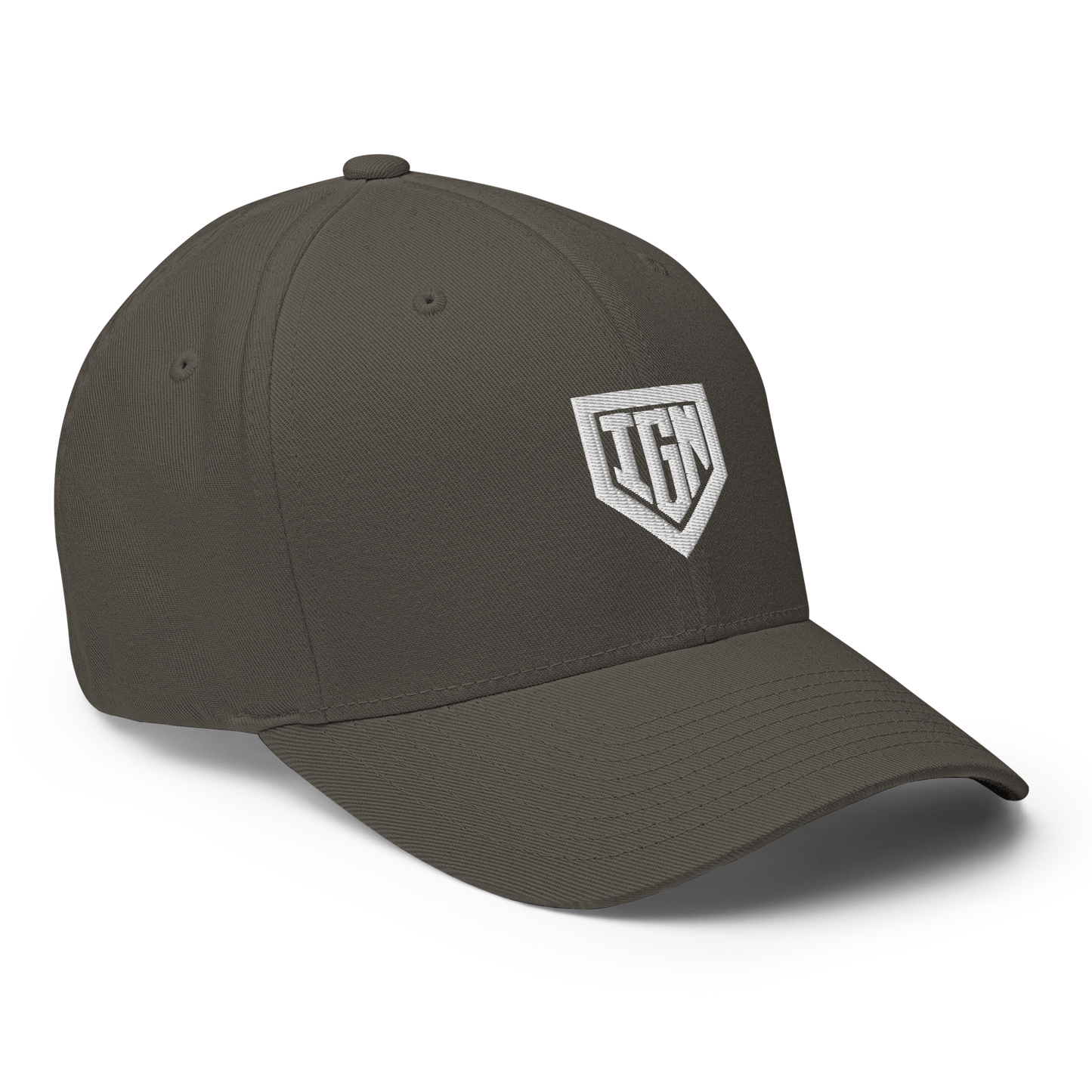 TEAM IGNITION - Flexfit Cap