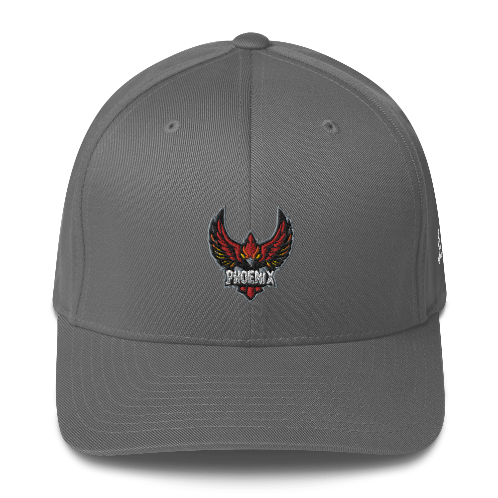 TEAM PHOENIX - Flexfit Cap