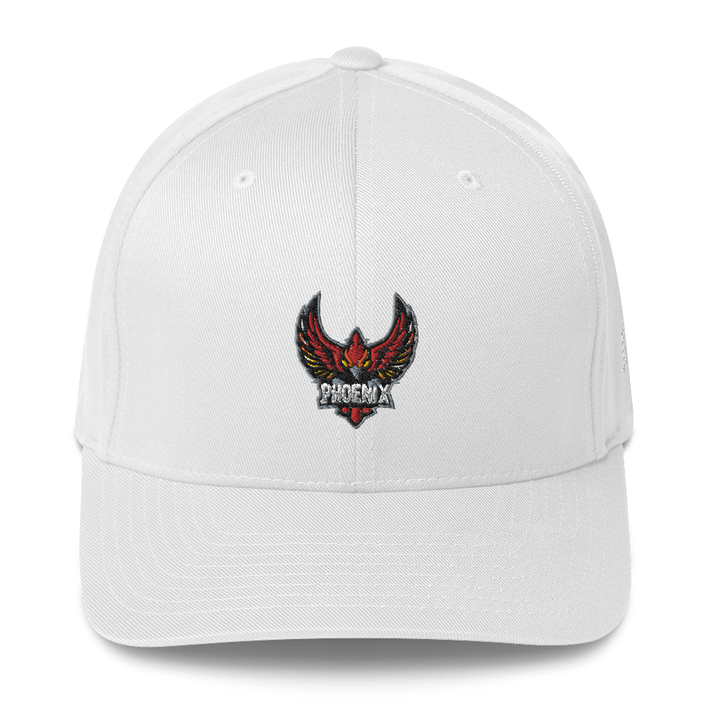 TEAM PHOENIX - Flexfit Cap