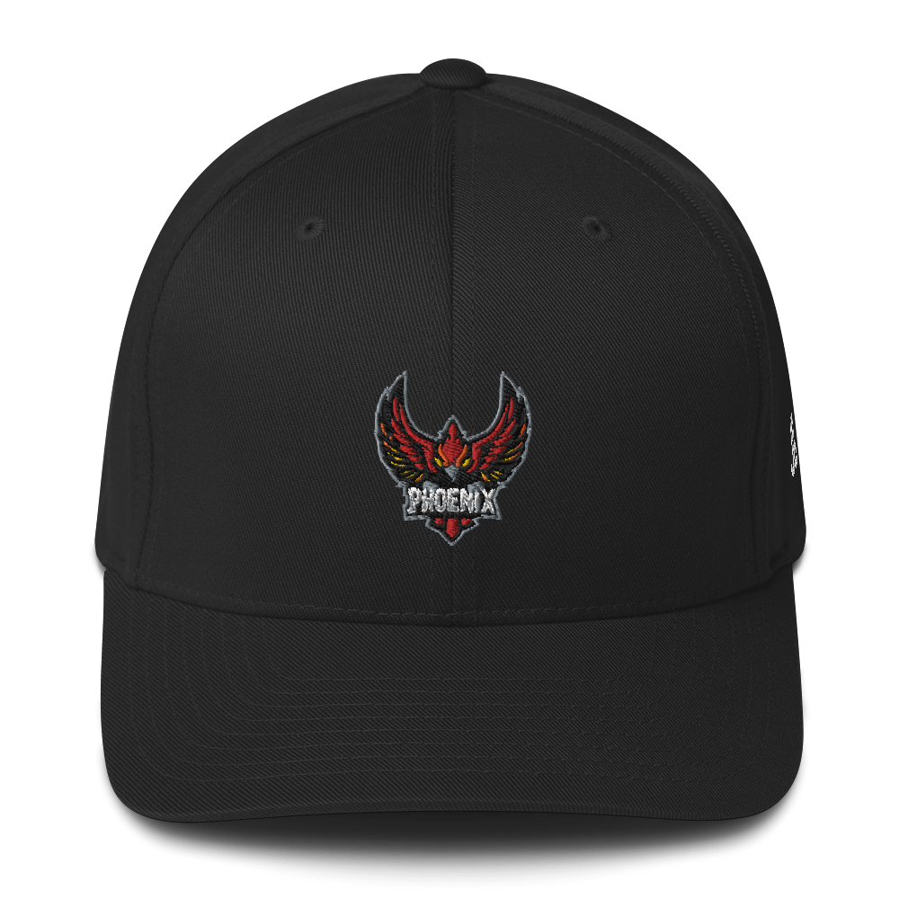 TEAM PHOENIX - Flexfit Cap