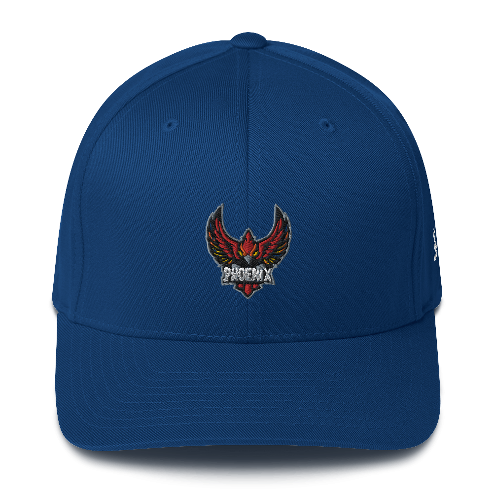 TEAM PHOENIX - Flexfit Cap