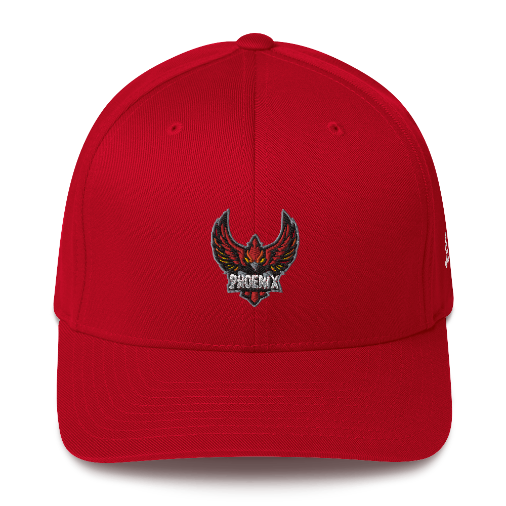 TEAM PHOENIX - Flexfit Cap