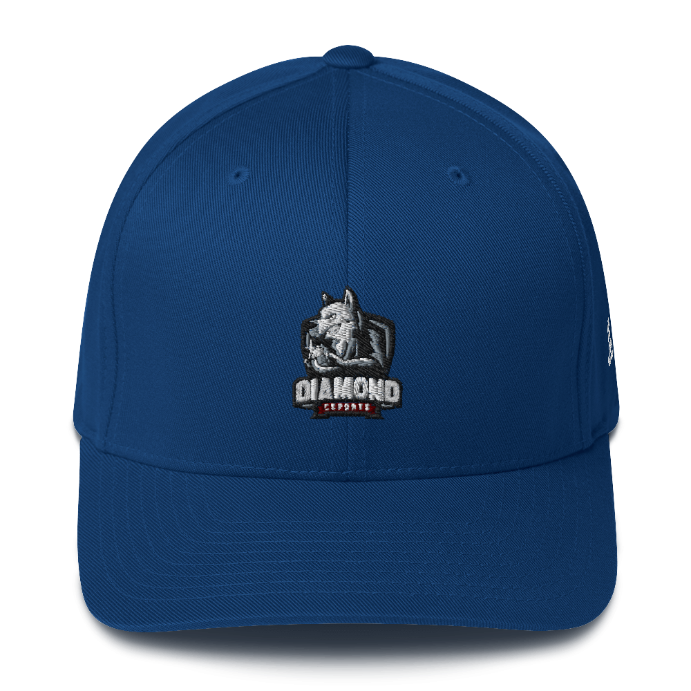 DIAMOND ESPORTS - Flexfit Cap