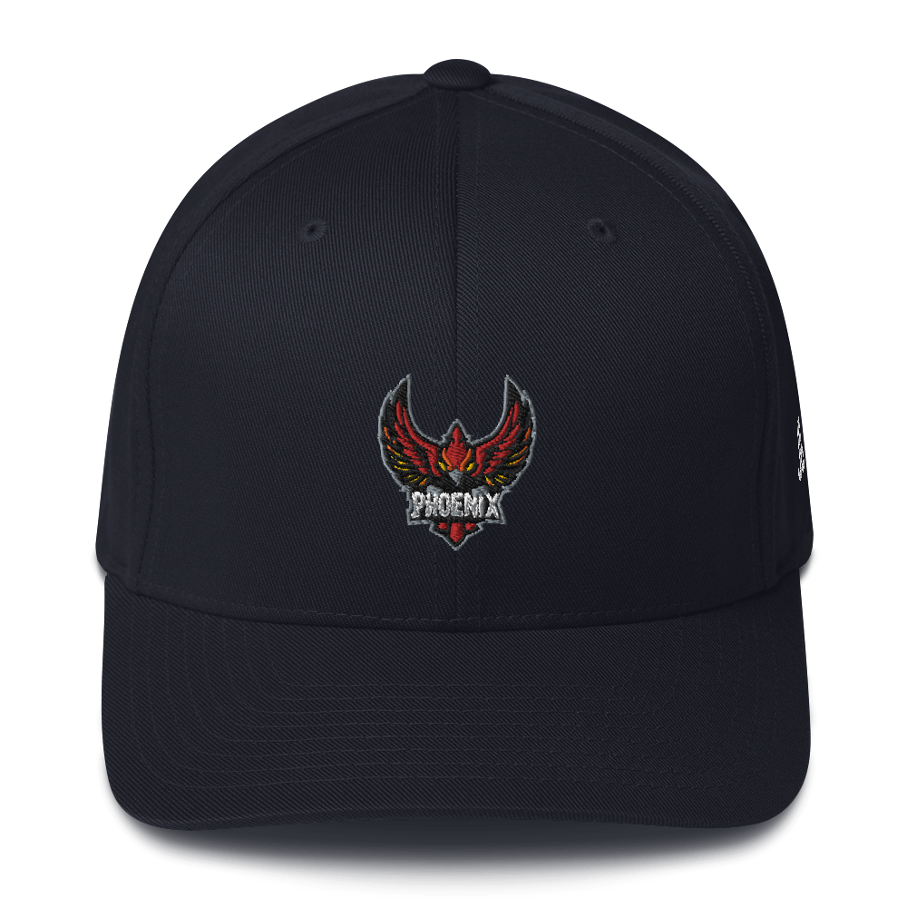 TEAM PHOENIX - Flexfit Cap