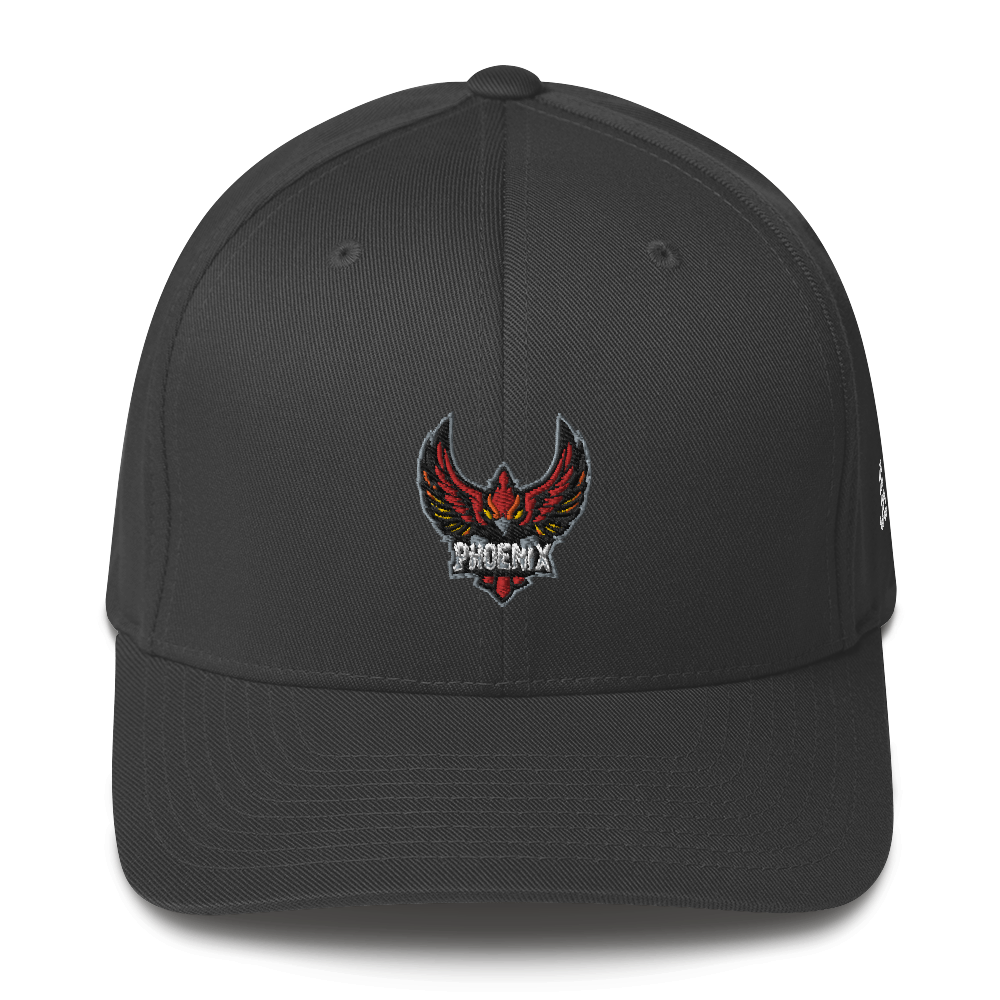 TEAM PHOENIX - Flexfit Cap